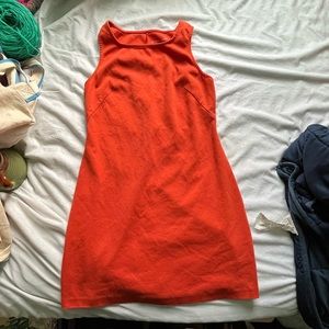 Orange Everlane tank top dress